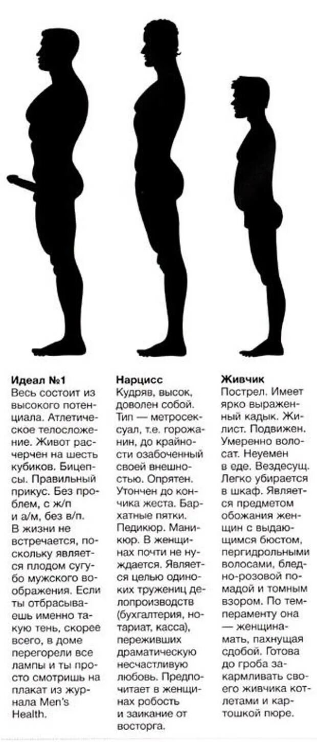 Какой ваш идеал