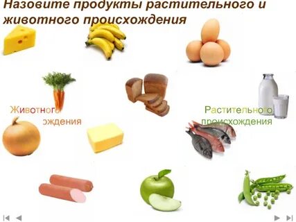 Продукты растительного происхождения содержащие