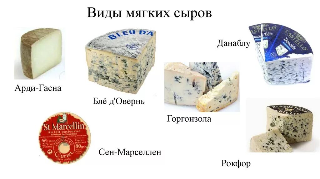 Твердые сыры названия в россии. Мягкие сыры сорта название. Твёрдый сыр название. Твердые сорта сыра. Виды мягких сыров.