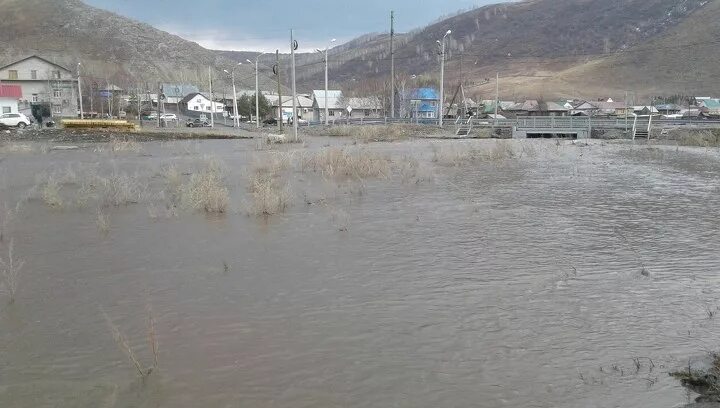 Погода чарышский краснощековского. Погода чарышский краснощековского. Село маралиха алтайский край. Погода чарышский краснощековского. Погода чарышский краснощековского.