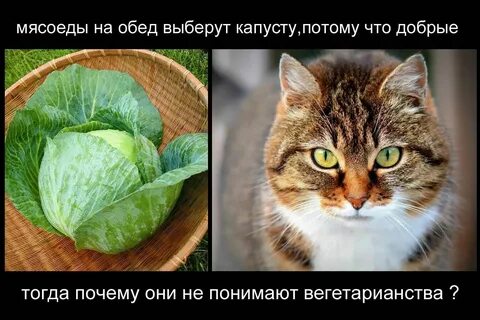 Про веган