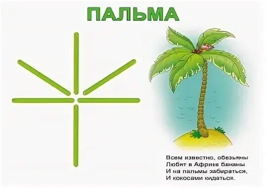 Загадка про пальму для детей. Пальма из счетных палочек. Загадка про пальму. Загадка про пальму для дошкольников.