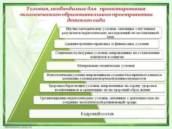 Программы социально экологической направленности