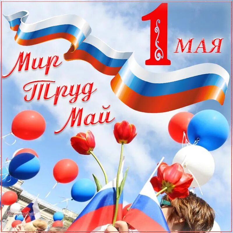 Праздник 1 мая официальное название. Поздравление с 1 мая. 1 Мая праздник. С 1 маем поздравления. Открытки с 1 маем.