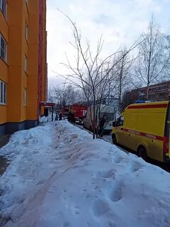 31 декабря петрозаводск
