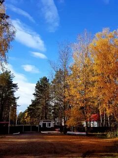 Лагерь орленок будогощь