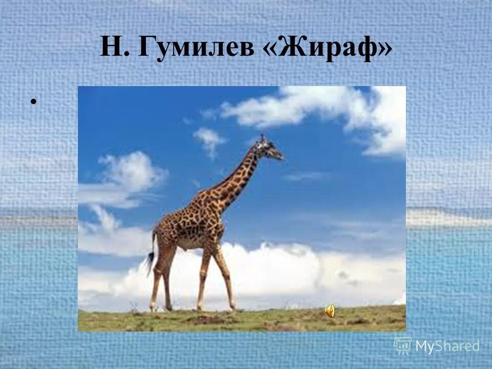 Н Гумилев Жираф. Н. Гумилева "Жираф". Жираф стихотворение Гумилева. Стихотворение н. Гумилёва "Жираф". Текст стиха жираф