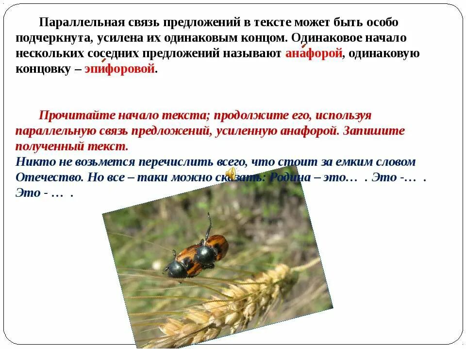 Как называется начало нескольких соседних предложений. Предложение со словом коллектив. Одинаковое начало предложений это. Одинаковый конец предложений это. Таблица члены предложения определение дополнение обстоятельство.