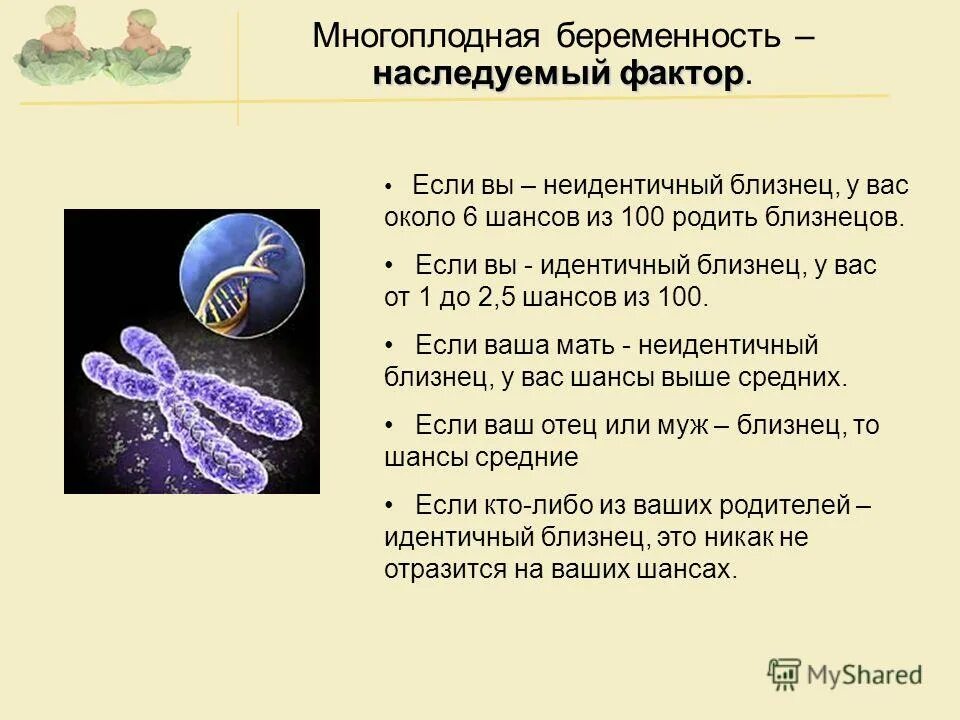 родились двойняшки. причины рождения близнецов. вероятность рождения близнецов у близнецов. близнецы четверо. дизиготные близнецы.