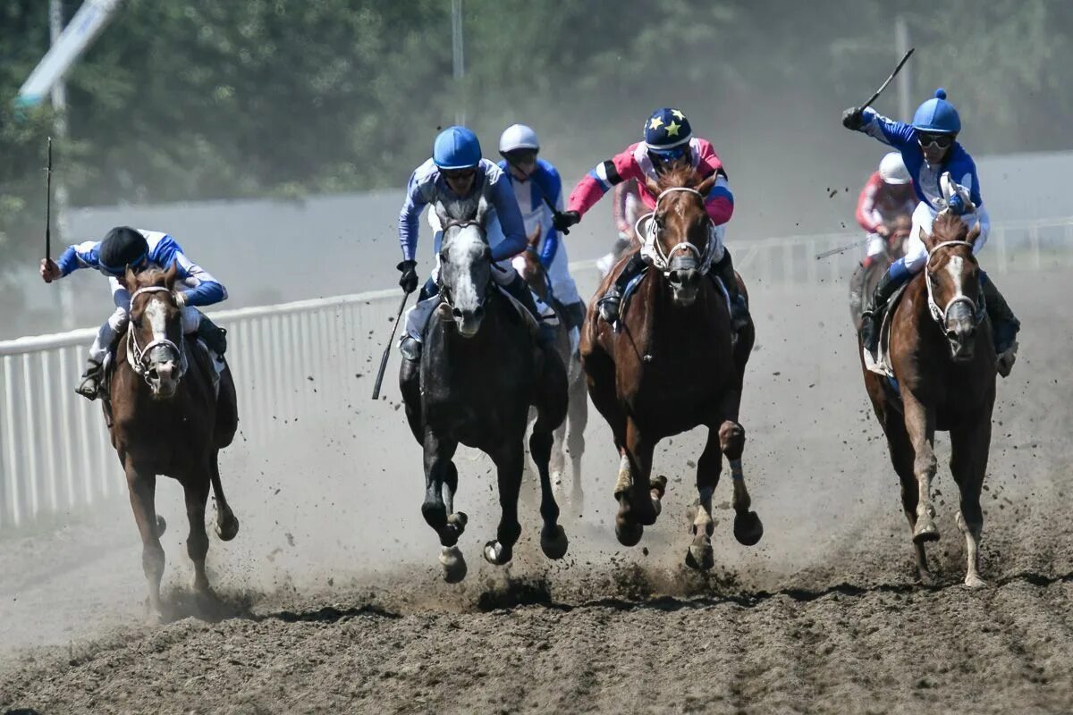 Скачки краснодарский ипподром 2023. Краснодарский ипподром сверху. Ипподромы краснодарского края. Ипподром на беговой. Ипподромы краснодарского края.