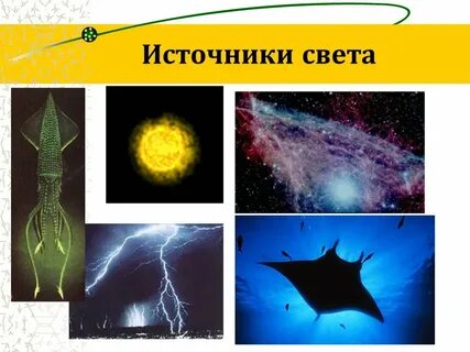 1 источник света