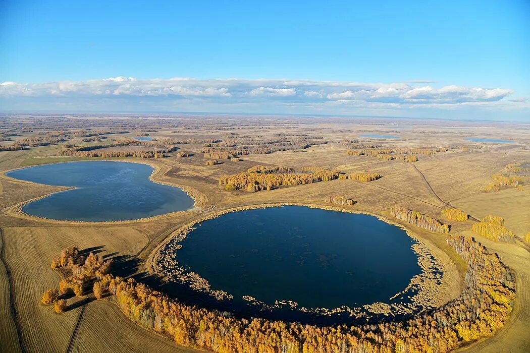Самое большое озеро края. Соленое озеро Чаны. Озеро Чаны Новосибирская область. Западная Сибирь озеро Чаны. Острова озера Чаны.