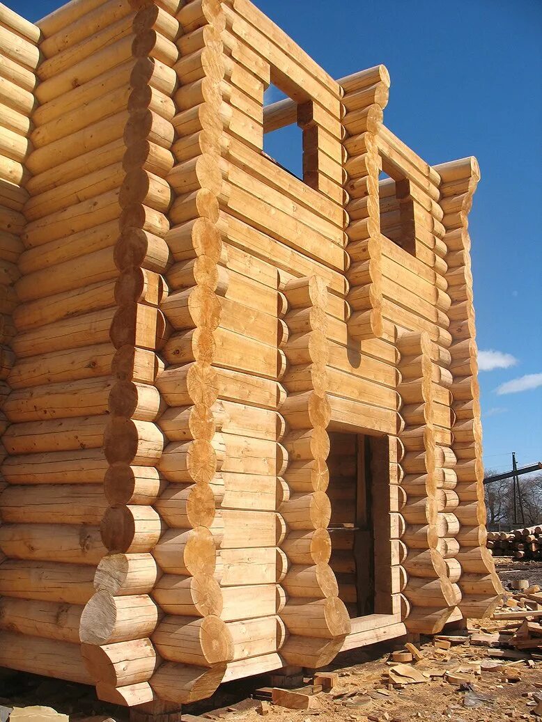форумы срубов. сруб в чашу. дом из бревна. форумы срубов. дом из бревна.