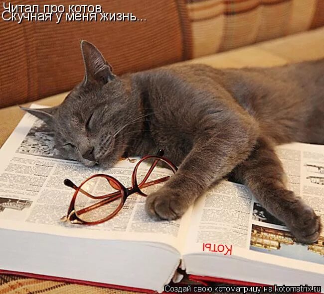 Моя жизнь скучная. Между отчаянием и надеждой. Без проблем жизнь скучна. Демотиватор скучно. Афоризмы про рыбалку.