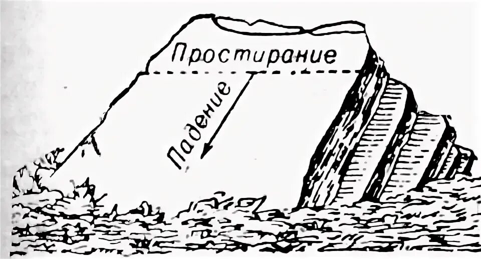 направление простирания горной системы. направление простирания горной системы. элементы залегания рудного пласта. залегание угольных пластов. азимут простирания.