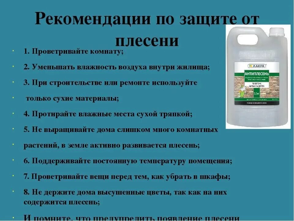 Как избежать плесени. Рекомендации по защите продуктов от плесени. памятки от плесени. избавление от плесени. профилактика от плесени.
