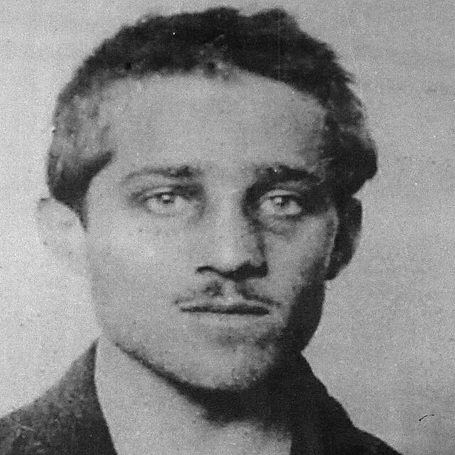 Гаврило принцип. Неделько чабринович. серб гаврило принцип. гаврило принцип первая мировая война.