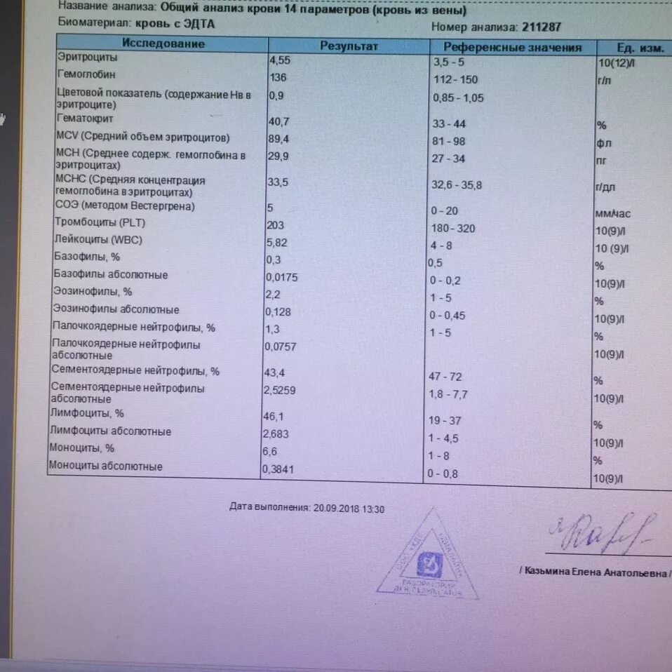 Анализ крови lym повышен у женщин. Нейтрофилы норма анализа. Общий анализ крови нейтрофилы сегментоядерные-норма. Норма палочкоядерных нейтрофилов. Норма сегментоядерных нейтрофилов.