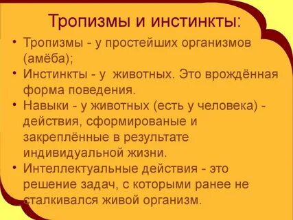 Тропизм