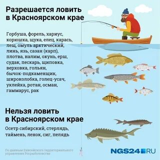 Где можно ловить рыбу во время запрета