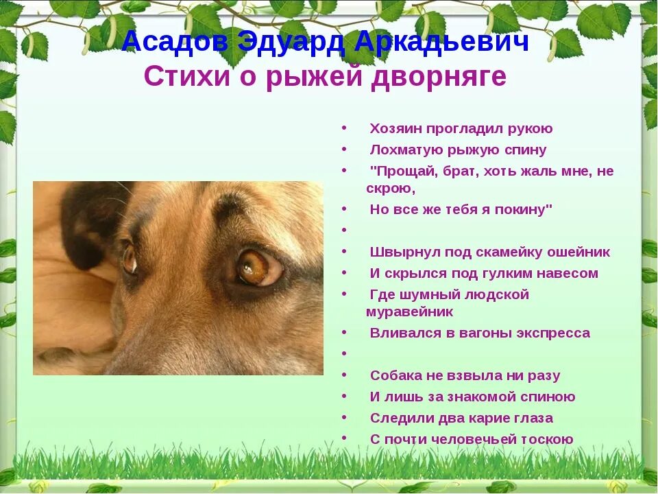 Стихи Асадова о рыжей дворняге. Стихи о дворняге Эдуарда Асадова. Асадов стихи о рыжей дворняге текст стихотворения.