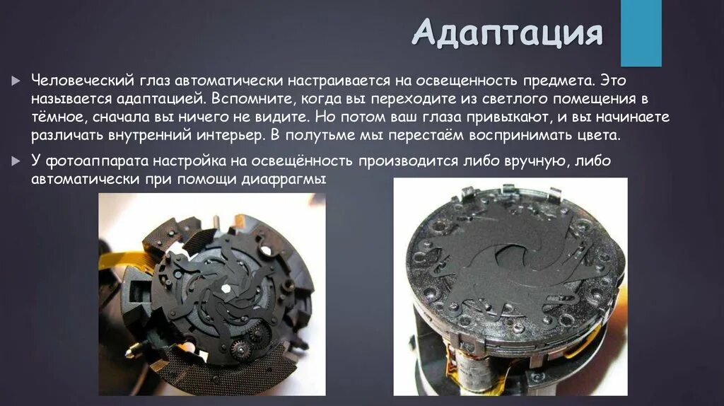 Темная адаптация. Адаптация зрения. Адаптация зрения к освещённости. Адаптация человеческого глаза. Адаптация зрения к разным условиям освещённости.