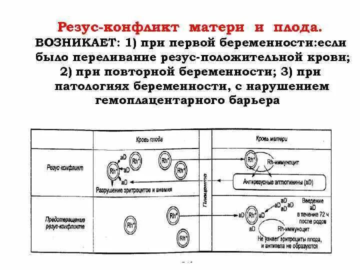 Механизм резус конфликта физиология. Механизм развития резус конфликта при беременности. Механизм развития резус конфликта схема. Резус-конфликт донора и реципиента причины и механизмы.