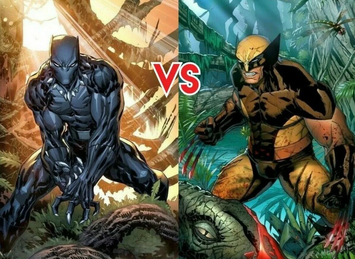 Wolverine vs Black Panther. Чёрная пантера против Росомахи. Мутанты Марвел. Росомаха Супергерой черная пантера.