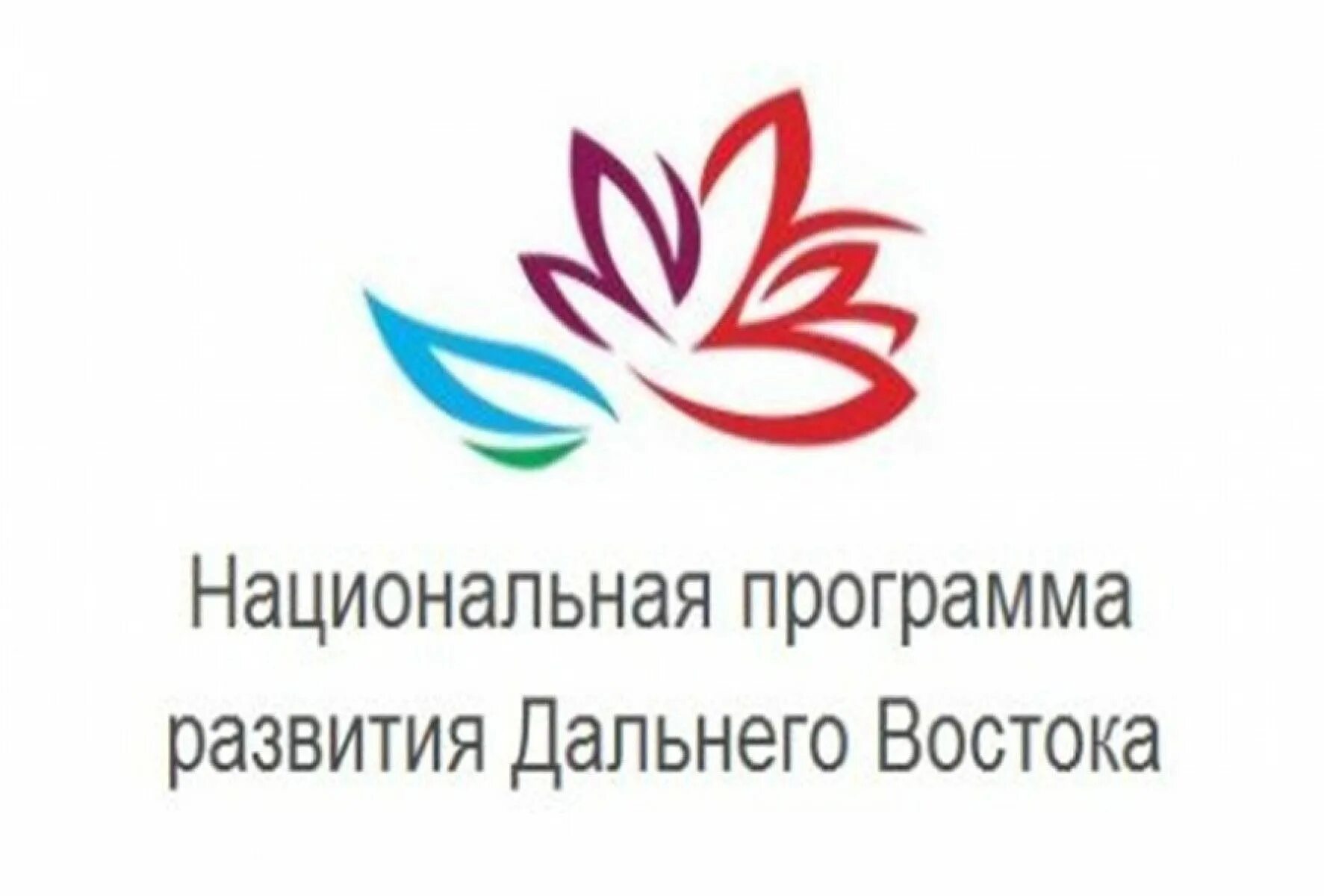 Проект по развитию дальнего востока. Программа развития дальнего востока. нац программа развития дальнего востока. дальний восток логотип. лого министерство дальнего востока.