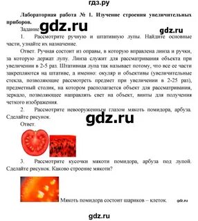 Биология лабораторная работа 2 6 класс ответы