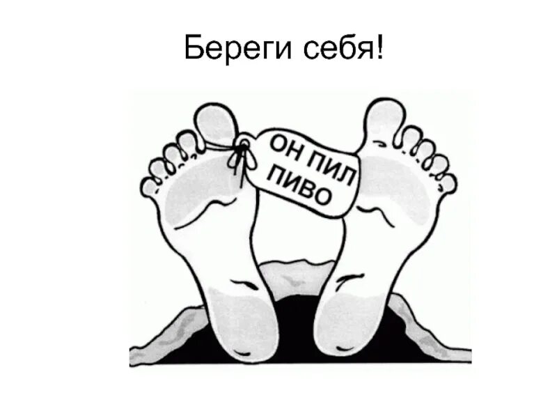 Берегите лену
