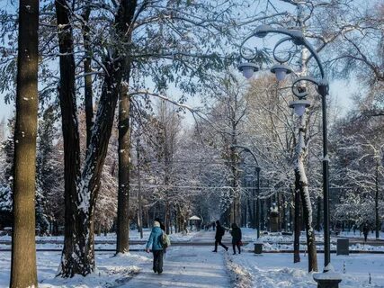 Погода в бишкеке в ноябре