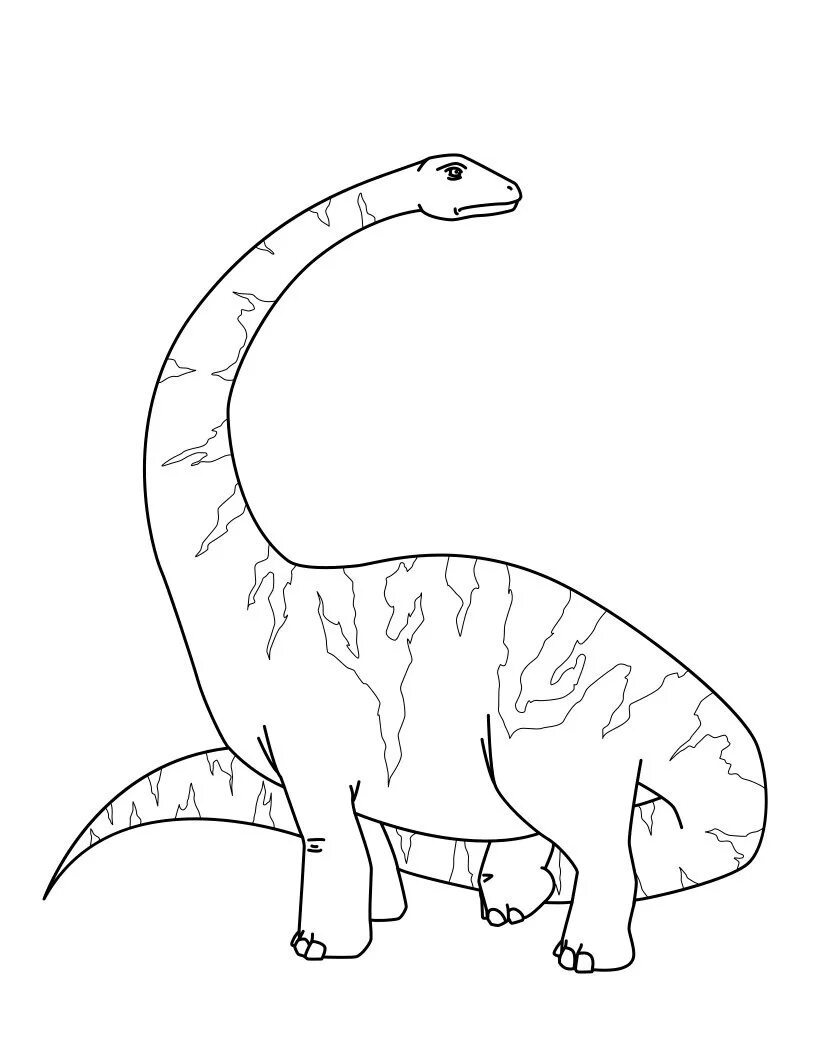 Динозавр легкий рисунок. Раскраска динозавр Диплодок. Диплодок динозавр. Динозавр Диплодок рисунок. Динозавры раскраски Диплодок Диплодок.