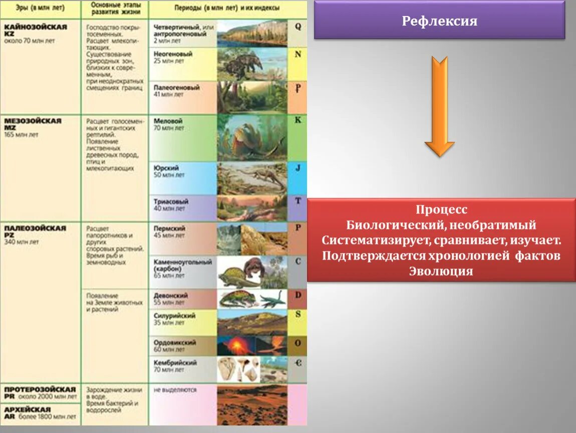 Геохронологическая таблица Эволюция растений. Геохронологическая история земли. Геохронологическая история земли основные этапы эволюции. Эры планеты земля