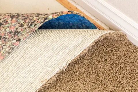 Is there a carpet in the room