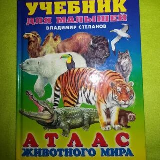 Мир животных 8 букв