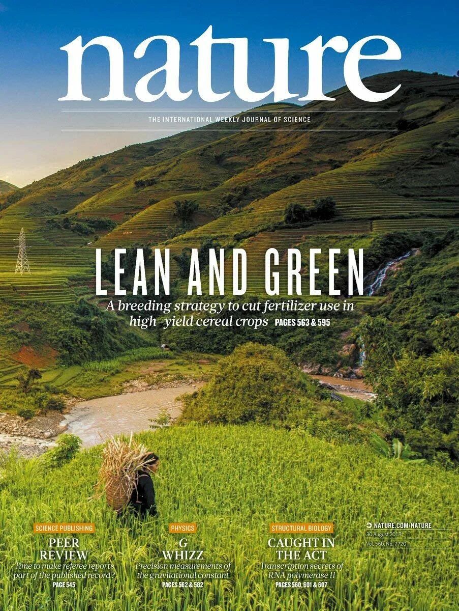 Журнал nature. Журнал nature обложки. Обложка журнала природа. Nature британский научный журнал. Журнал природа и человек
