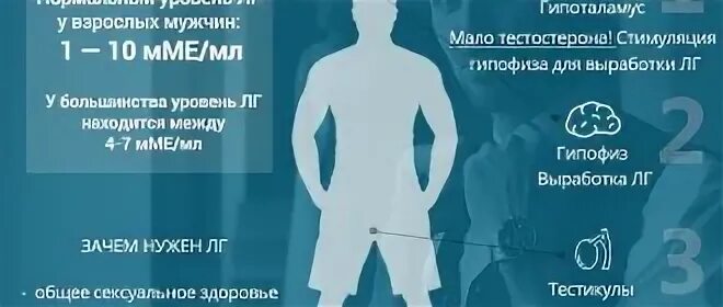 Лг что это