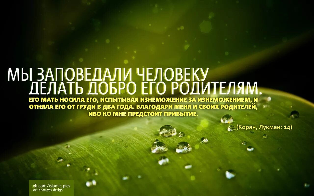 Хадис про отца. Отношение к родителям иэв исламе. отношение к родителям в исламе. хадисы про родителей. цитаты из корана про родителей.