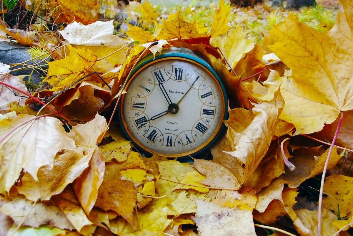 Осенние часы. Осень школа. Осенний день. Часы в осенних листьях. Красивая осень время