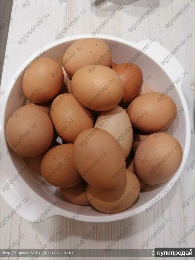 Купить яйца в ленинградской