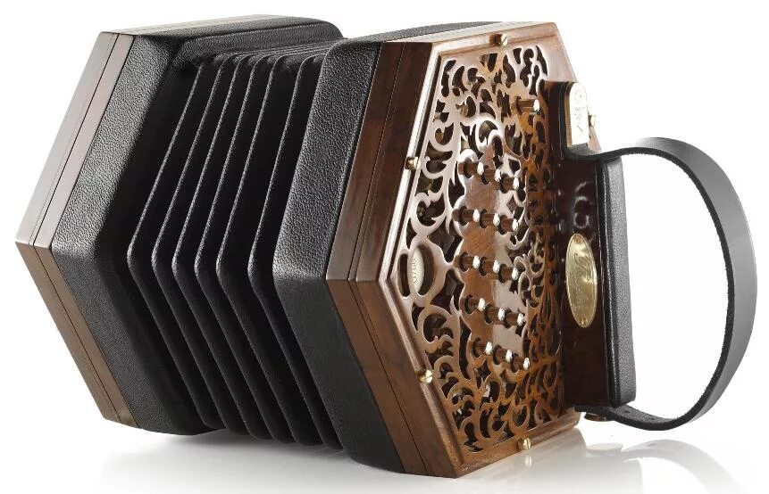 Французский гармонист. Париж аккордеон. Аккордеонист франция. Гармошка маленькая концертина. Гармошка концертина.