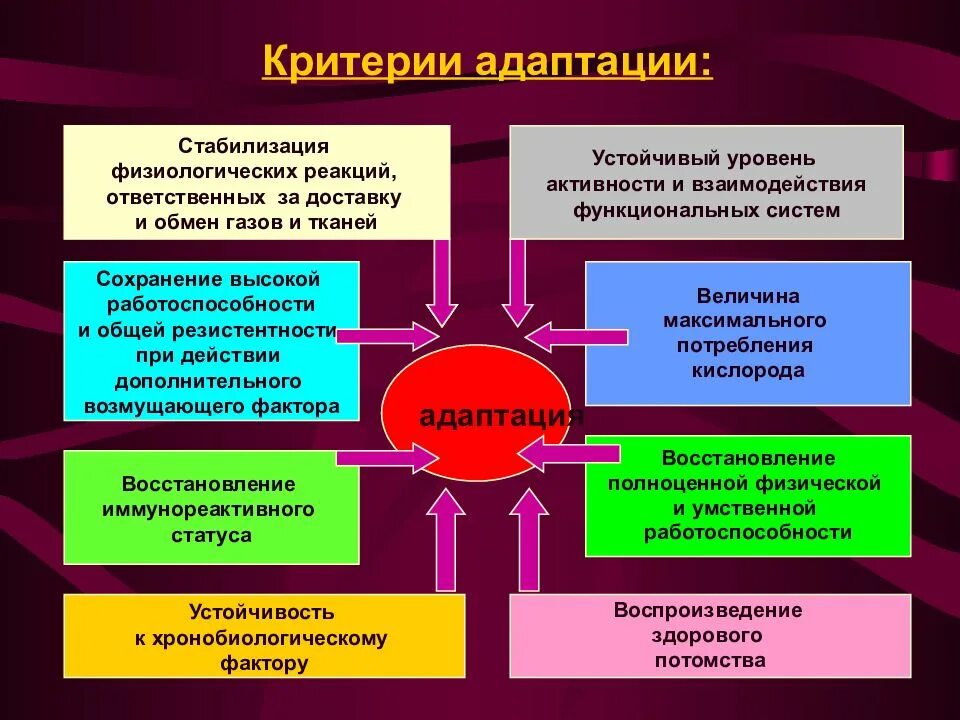 Адаптация является результатом. Критерии адаптации. Критерии по адаптации. Реакция адаптации. Гигиенические критерии адаптации:.