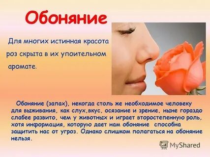 Запах и вкус во
