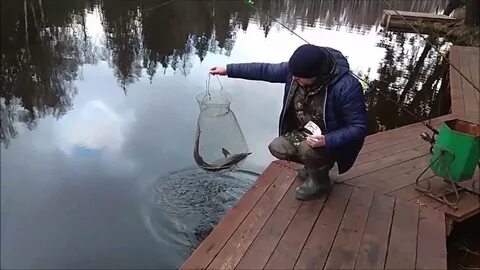 Клевая рыбалка лосиный остров
