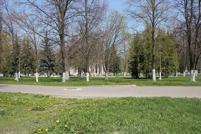 В Курске в парке перед ДК Железнодорожников обновят освещение - МК Черноземье