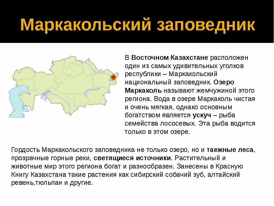 Месторождения угля в казахстане на карте. Стоянки палеолита. Казахстан по областям. Укажите рк. Закон о коррупции в казахстане.
