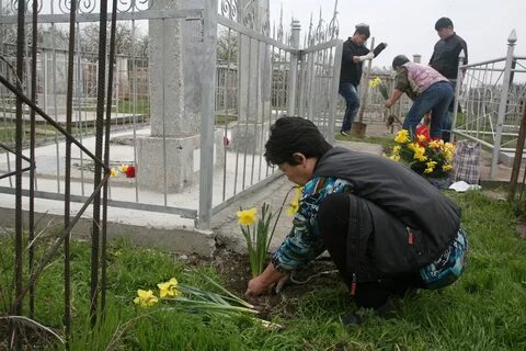 Родительский день у корейцев в 2024 году