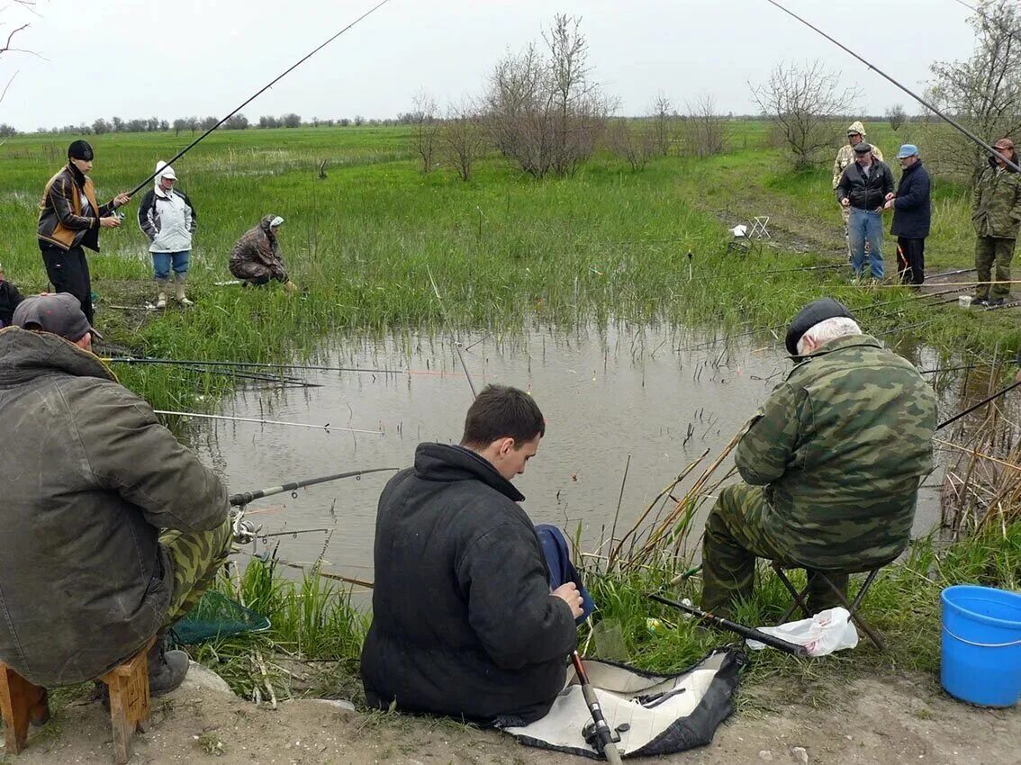 Пруд улов. Приколы на рыбалке. Рыбалка картинки. Рыбаки на рыбалке приколы. Платная рыбалка приколы.