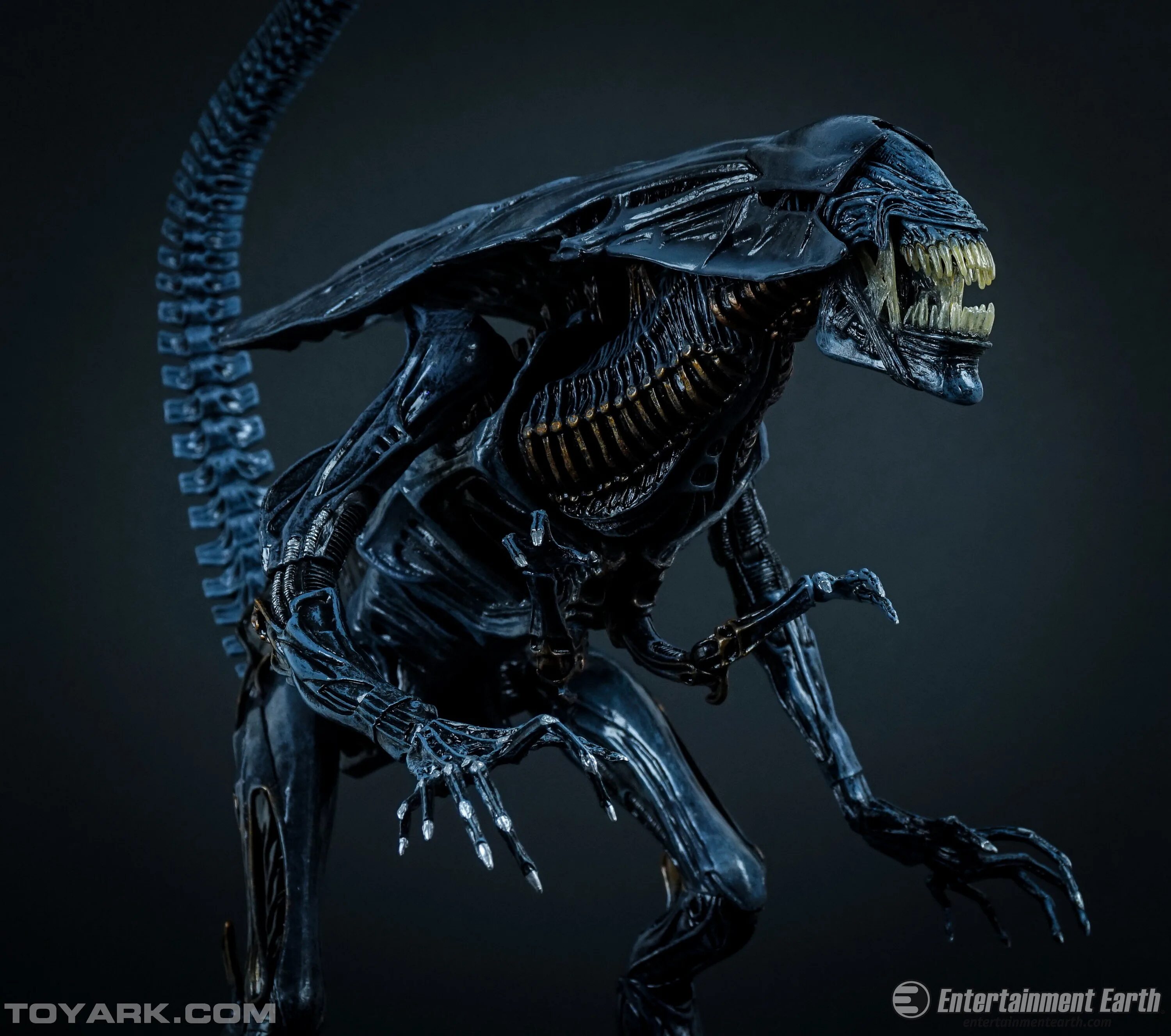 Футболка чужой (alien). Костюм чужого для ребенка. Футболка с чужим. Майка teestore чужой. Фильм чужие королева чужих.